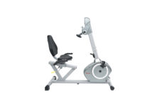 Sunny Recumbent Bike with Arm Exerciser