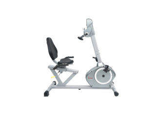 Sunny Recumbent Bike with Arm Exerciser
