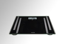 Taylor Bluetooth Body Fat Smart Scale Review