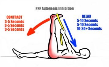 Autogenic Inhibition