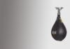 Everlast Elite Leather Speed Bag Review