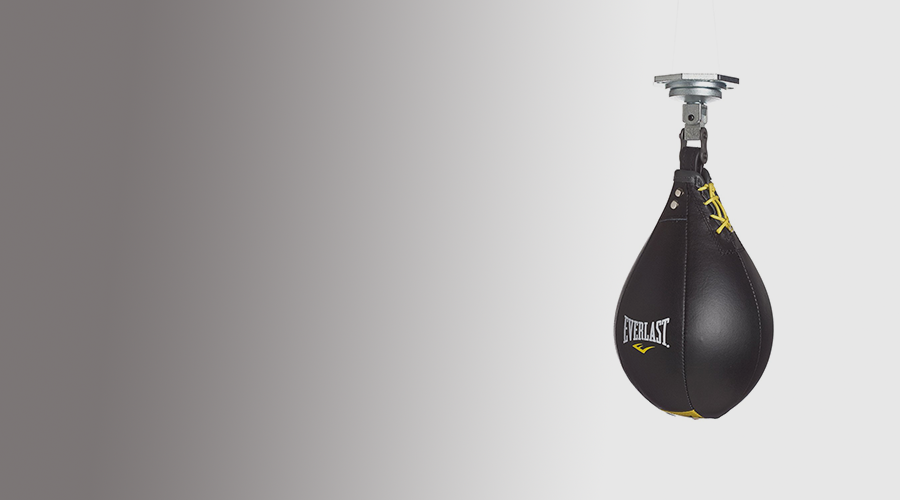 Everlast-Elite-Leather-Speed-Bag-Review-featured