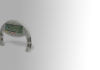GOSO Body Fat Monitor Review