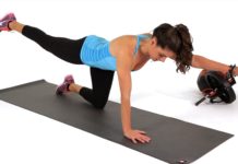 Bird Dog Exercise