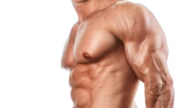 The Scapula