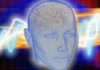 Best Nootropic Under $50 in 2020