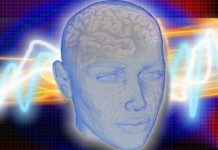 Best Nootropic Under $50 in 2020