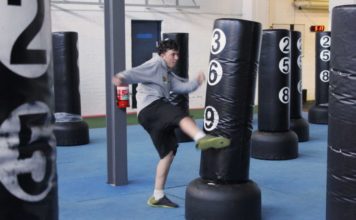 Best Freestanding Punching Bags 2020