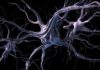 Benefits of Nootropic Supplements