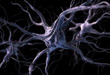 Benefits of Nootropic Supplements