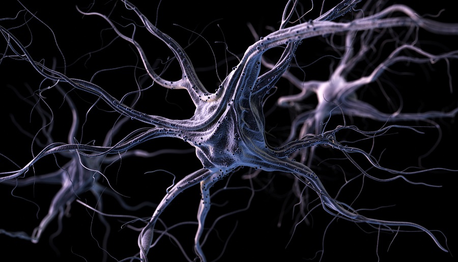 benefits of nootropics